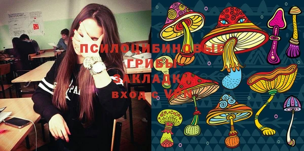 mdma Пролетарск
