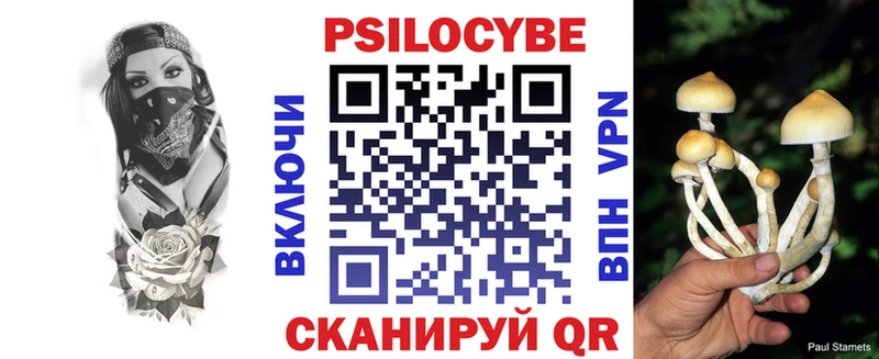 Псилоцибиновые грибы мицелий  Купить где  Горячий Ключ 